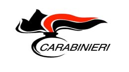 Logo ca